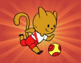 Gato jugando a fútbol