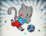 Gato jugando a fútbol