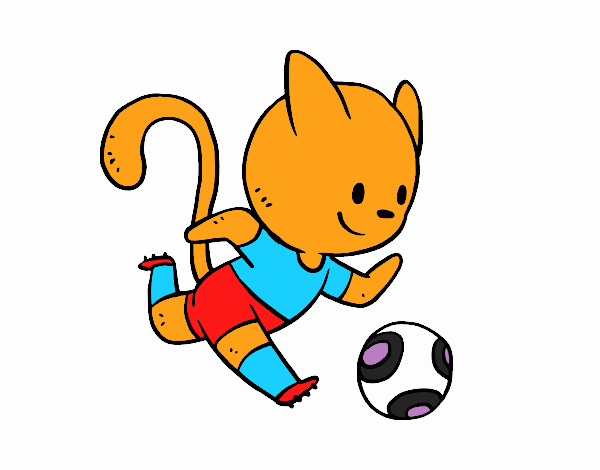 Gato jugando a fútbol