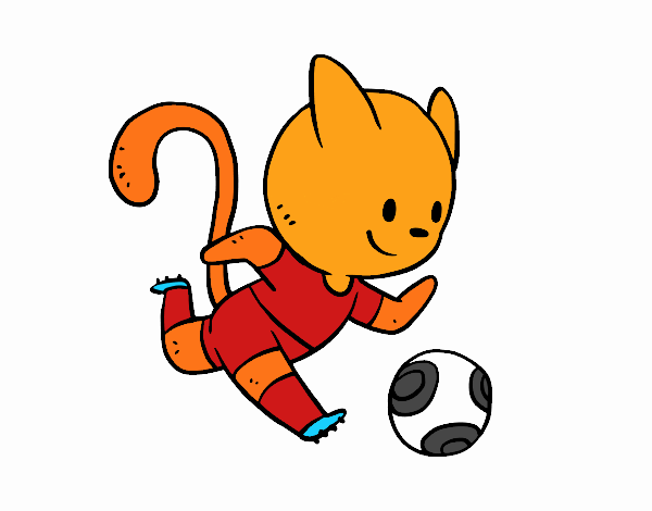 Gato jugando a fútbol