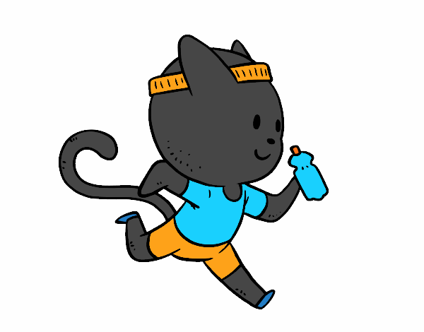 Gato runner