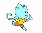 Gato runner