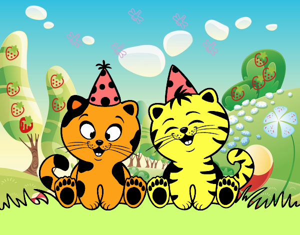 Gatos de cumpleaños