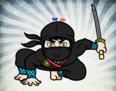 Ninja japonés