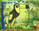 Pájaro Tucán