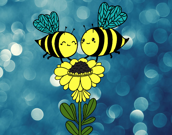 Pareja de abejas