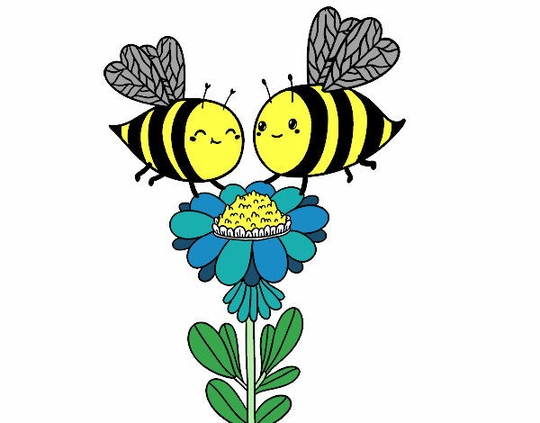 Pareja de abejas