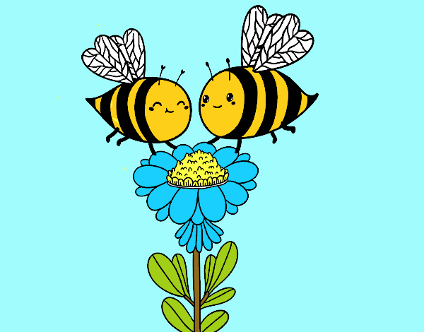 Pareja de abejas