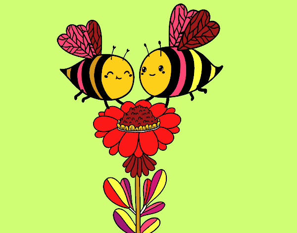 Pareja de abejas