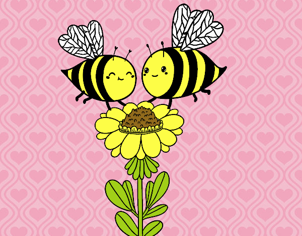 Pareja de abejas