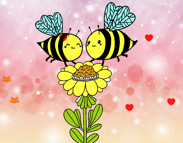 Pareja de abejas