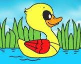 Patito de río