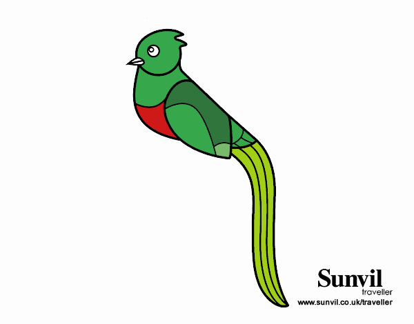 Dibujo de Quetzal pintado por en  el día 01-09-20 a las  18:15:01. Imprime, pinta o colorea tus propios dibujos!