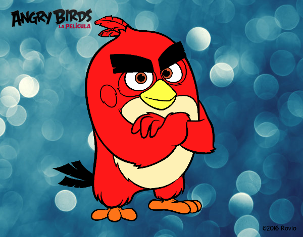 Red de Angry Birds