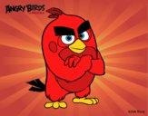 Red de Angry Birds