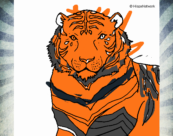 Tigre 3