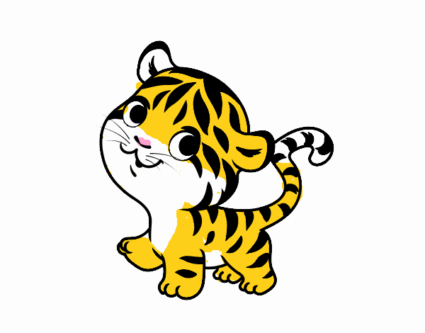 Tigre bebé