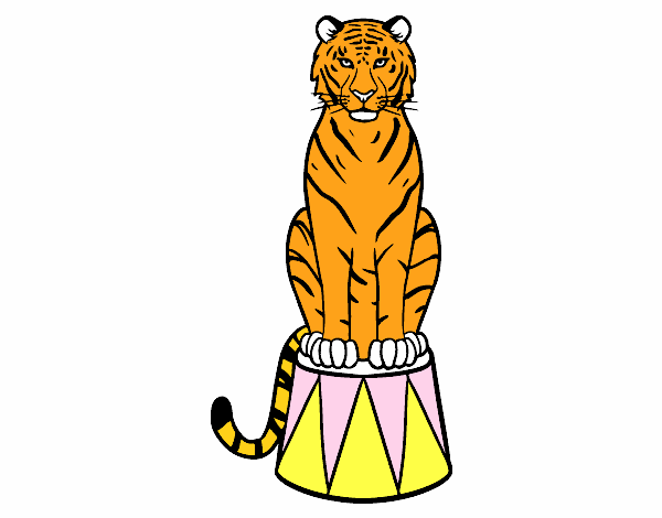 Tigre de circo