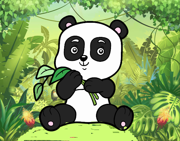 Un oso panda