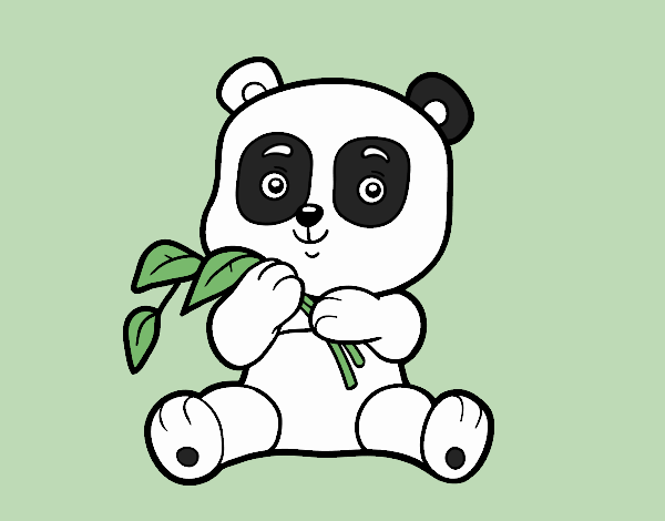 Un oso panda