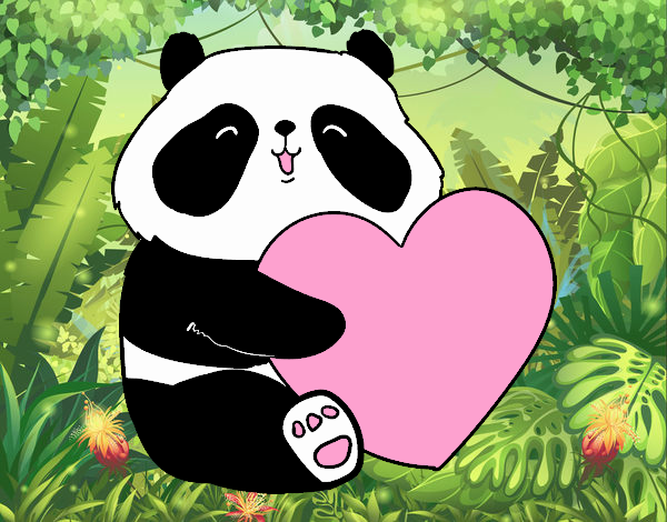 Amor Panda