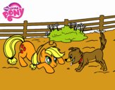 Applejack y Winona