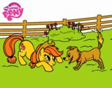 Applejack y Winona