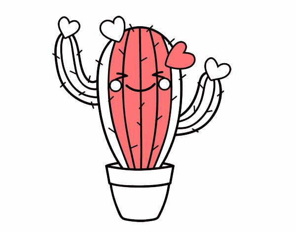 Cactus corazón