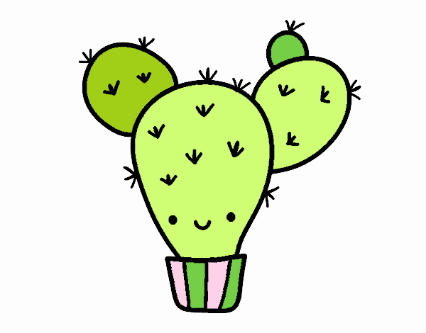 Cactus nopal