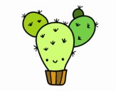 Cactus nopal