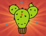 Cactus nopal