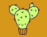 Cactus nopal