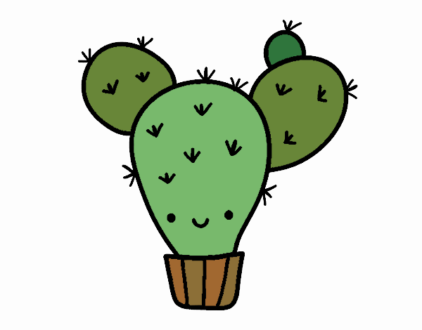 Cactus nopal