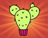 Cactus nopal