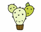 Cactus nopal