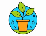 Cultivo Ecológico