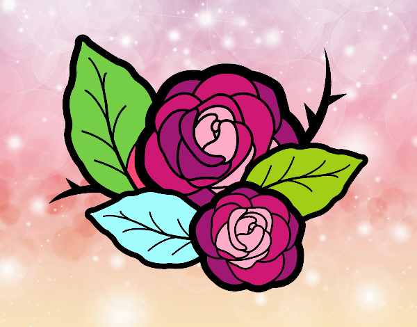 Dos rosas