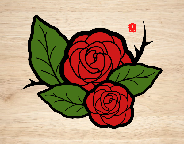 Rosa