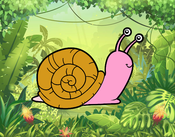 El caracol