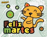 Feliz martes