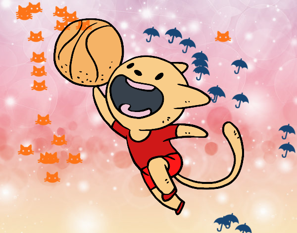 Gato jugando a baloncesto