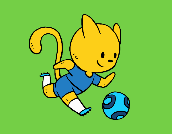 gato futboll