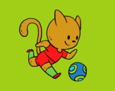 Gato jugando a fútbol