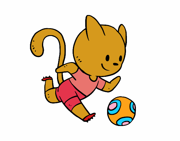 Gato jugando a fútbol