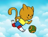 Gato jugando a fútbol