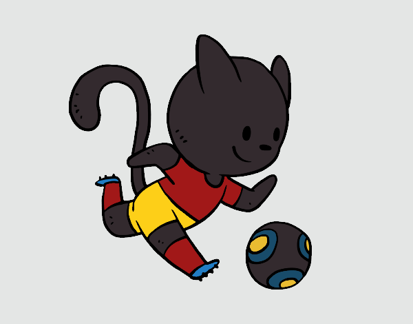 Gato jugando a fútbol