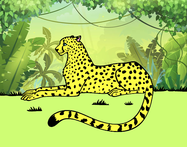 LEOPARDO  en  una  selva