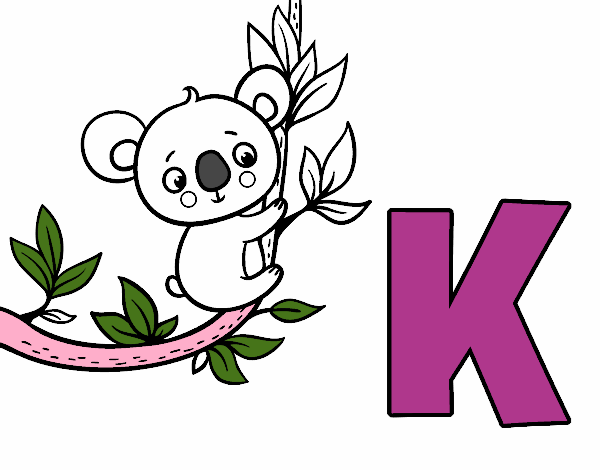 K de Koala