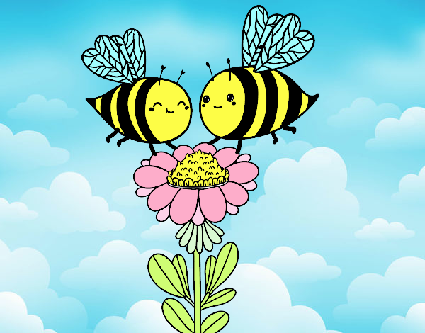 Pareja de abejas