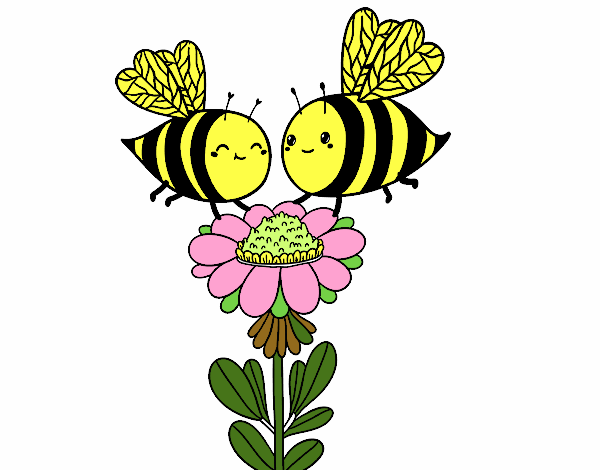 Pareja de abejas